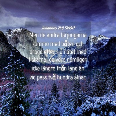 Picture 04 - Johannes 21:8 SV1917 - Men de andra lärjungarna kommo med båten och - Bible Verse Picture