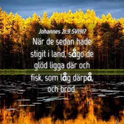 Picture 04 - Johannes 21:9 SV1917 - När de sedan hade stigit i land, sågo de glöd - Bible Verse Picture