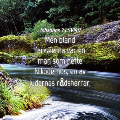 Picture 04 - Johannes 3:1 SV1917 - Men bland fariséerna var en man som hette - Bible Verse Picture