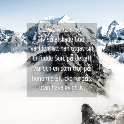 Picture 04 - Johannes 3:16 SV1917 - Ty så älskade Gud världen, att han utgav sin - Bible Verse Picture