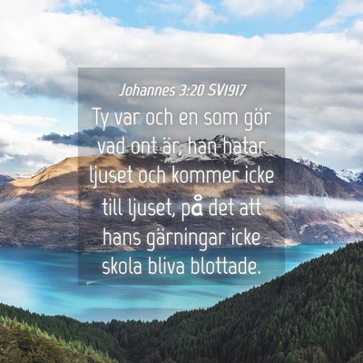 Picture 04 - Johannes 3:20 SV1917 - Ty var och en som gör vad ont är, han hatar - Bible Verse Picture