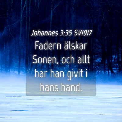 Picture 04 - Johannes 3:35 SV1917 - Fadern älskar Sonen, och allt har han givit i - Bible Verse Picture