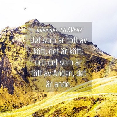 Picture 04 - Johannes 3:6 SV1917 - Det som är fött av kött, det är kött; och - Bible Verse Picture