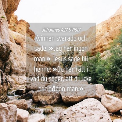 Picture 04 - Johannes 4:17 SV1917 - Kvinnan svarade och sade: »Jag har ingen man.» - Bible Verse Picture