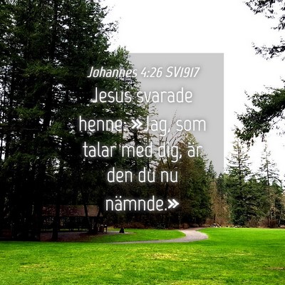 Picture 04 - Johannes 4:26 SV1917 - Jesus svarade henne: »Jag, som talar med dig, - Bible Verse Picture