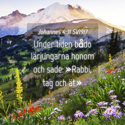 Picture 04 - Johannes 4:31 SV1917 - Under tiden bådo lärjungarna honom och sade: - Bible Verse Picture