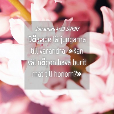 Picture 04 - Johannes 4:33 SV1917 - Då sade lärjungarna till varandra: »Kan väl - Bible Verse Picture