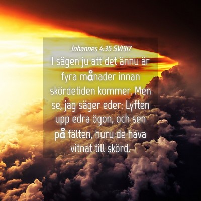 Picture 04 - Johannes 4:35 SV1917 - I sägen ju att det ännu är fyra månader innan - Bible Verse Picture
