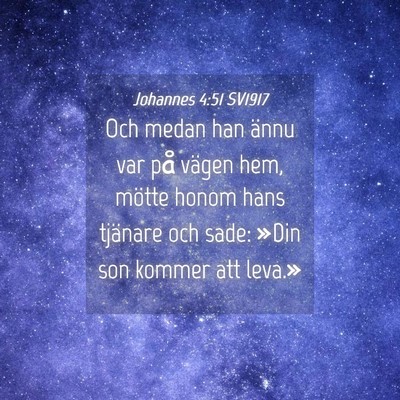 Picture 04 - Johannes 4:51 SV1917 - Och medan han ännu var på vägen hem, mötte - Bible Verse Picture