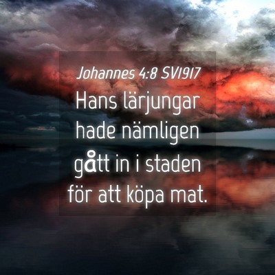 Picture 04 - Johannes 4:8 SV1917 - Hans lärjungar hade nämligen gått in i staden - Bible Verse Picture