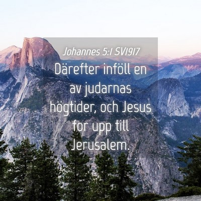 Picture 04 - Johannes 5:1 SV1917 - Därefter inföll en av judarnas högtider, och - Bible Verse Picture