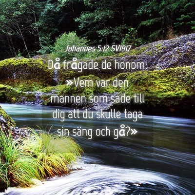Picture 04 - Johannes 5:12 SV1917 - Då frågade de honom: »Vem var den mannen som - Bible Verse Picture
