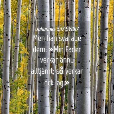 Picture 04 - Johannes 5:17 SV1917 - Men han svarade dem: »Min Fader verkar ännu - Bible Verse Picture
