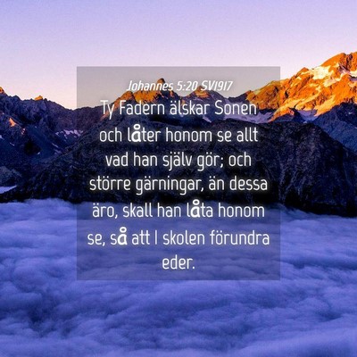 Picture 04 - Johannes 5:20 SV1917 - Ty Fadern älskar Sonen och låter honom se allt - Bible Verse Picture