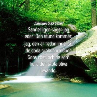 Picture 04 - Johannes 5:25 SV1917 - Sannerligen säger jag eder: Den stund kommer, - Bible Verse Picture