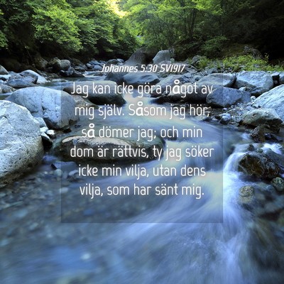 Picture 04 - Johannes 5:30 SV1917 - Jag kan icke göra något av mig själv. Såsom - Bible Verse Picture