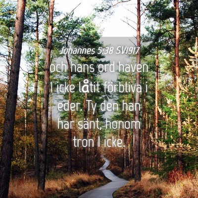 Picture 04 - Johannes 5:38 SV1917 - och hans ord haven I icke låtit förbliva i - Bible Verse Picture