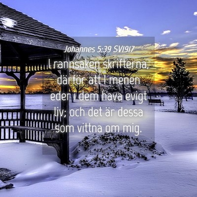 Picture 04 - Johannes 5:39 SV1917 - I rannsaken skrifterna, därför att I menen eder - Bible Verse Picture