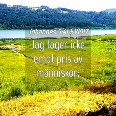 Picture 04 - Johannes 5:41 SV1917 - Jag tager icke emot pris av - Bible Verse Picture