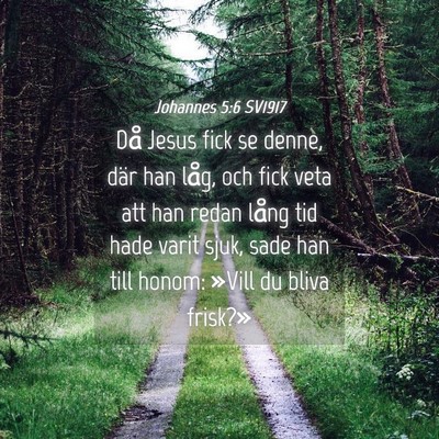 Picture 04 - Johannes 5:6 SV1917 - Då Jesus fick se denne, där han låg, och fick - Bible Verse Picture