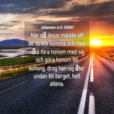 Picture 04 - Johannes 6:15 SV1917 - När då Jesus märkte att de tänkte komma och - Bible Verse Picture
