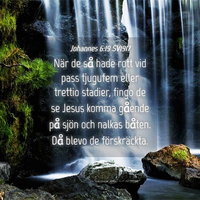 Picture 04 - Johannes 6:19 SV1917 - När de så hade rott vid pass tjugufem eller - Bible Verse Picture