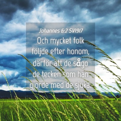 Picture 04 - Johannes 6:2 SV1917 - Och mycket folk följde efter honom, därför att - Bible Verse Picture