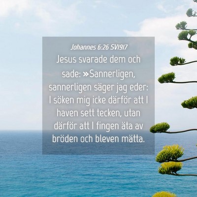 Picture 04 - Johannes 6:26 SV1917 - Jesus svarade dem och sade: »Sannerligen, - Bible Verse Picture
