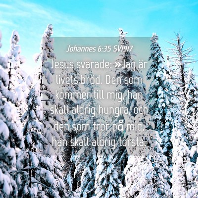 Picture 04 - Johannes 6:35 SV1917 - Jesus svarade: »Jag är livets bröd. Den som - Bible Verse Picture