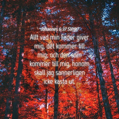 Picture 04 - Johannes 6:37 SV1917 - Allt vad min Fader giver mig, det kommer till - Bible Verse Picture
