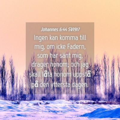 Picture 04 - Johannes 6:44 SV1917 - Ingen kan komma till mig, om icke Fadern, som har - Bible Verse Picture
