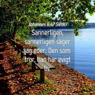 Picture 04 - Johannes 6:47 SV1917 - Sannerligen, sannerligen säger jag eder: Den som - Bible Verse Picture