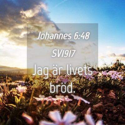Picture 04 - Johannes 6:48 SV1917 - Jag är livets - Bible Verse Picture