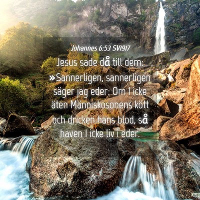 Picture 04 - Johannes 6:53 SV1917 - Jesus sade då till dem: »Sannerligen, - Bible Verse Picture
