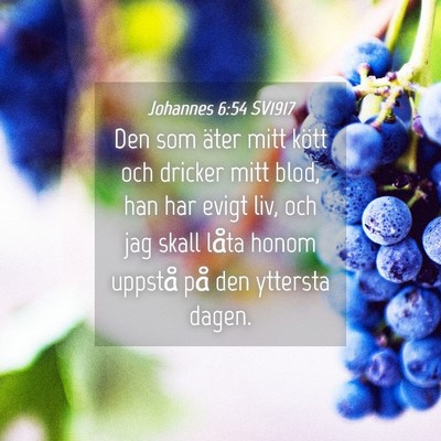 Picture 04 - Johannes 6:54 SV1917 - Den som äter mitt kött och dricker mitt blod, - Bible Verse Picture