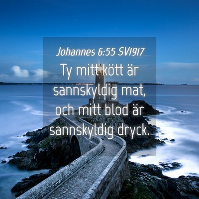 Picture 04 - Johannes 6:55 SV1917 - Ty mitt kött är sannskyldig mat, och mitt blod - Bible Verse Picture