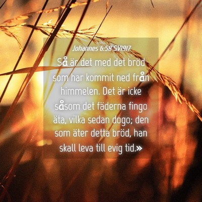 Picture 04 - Johannes 6:58 SV1917 - Så är det med det bröd som har kommit ned - Bible Verse Picture