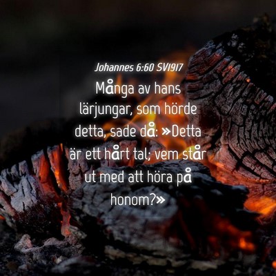 Picture 04 - Johannes 6:60 SV1917 - Många av hans lärjungar, som hörde detta, sade - Bible Verse Picture