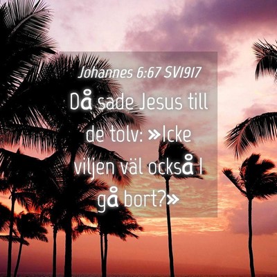 Picture 04 - Johannes 6:67 SV1917 - Då sade Jesus till de tolv: »Icke viljen väl - Bible Verse Picture