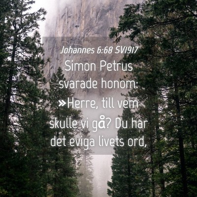 Picture 04 - Johannes 6:68 SV1917 - Simon Petrus svarade honom: »Herre, till vem - Bible Verse Picture