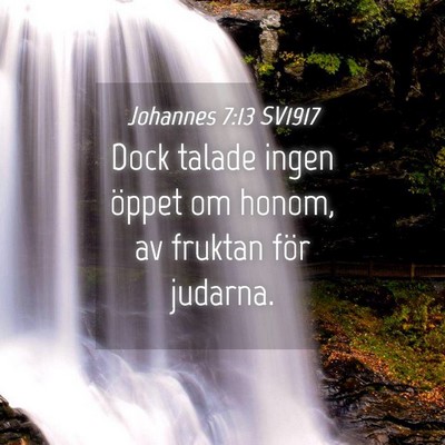 Picture 04 - Johannes 7:13 SV1917 - Dock talade ingen öppet om honom, av fruktan - Bible Verse Picture
