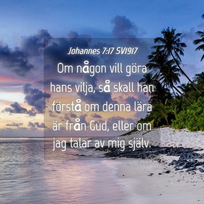 Picture 04 - Johannes 7:17 SV1917 - Om någon vill göra hans vilja, så skall han - Bible Verse Picture