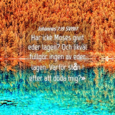 Picture 04 - Johannes 7:19 SV1917 - Har icke Moses givit eder lagen? Och likväl - Bible Verse Picture