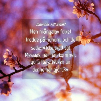 Picture 04 - Johannes 7:31 SV1917 - Men många av folket trodde på honom, och de - Bible Verse Picture