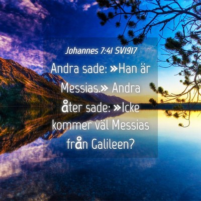 Picture 04 - Johannes 7:41 SV1917 - Andra sade: »Han är Messias.» Andra åter - Bible Verse Picture