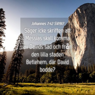 Picture 04 - Johannes 7:42 SV1917 - Säger icke skriften att Messias skall komma av - Bible Verse Picture