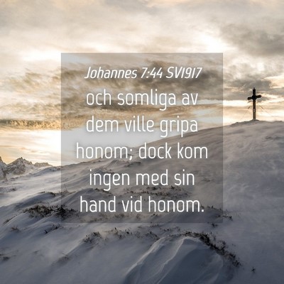 Picture 04 - Johannes 7:44 SV1917 - och somliga av dem ville gripa honom; dock kom - Bible Verse Picture