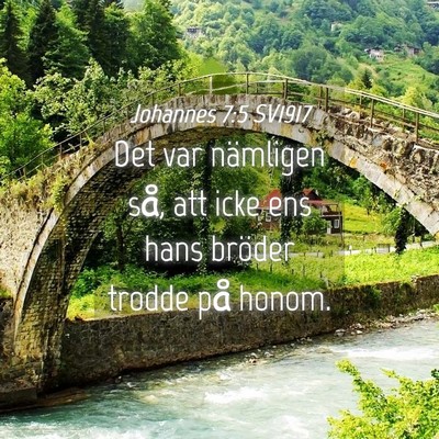 Picture 04 - Johannes 7:5 SV1917 - Det var nämligen så, att icke ens hans bröder - Bible Verse Picture