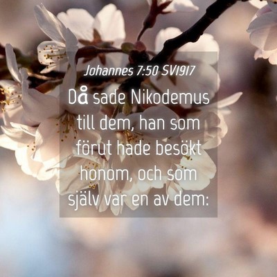 Picture 04 - Johannes 7:50 SV1917 - Då sade Nikodemus till dem, han som förut hade - Bible Verse Picture