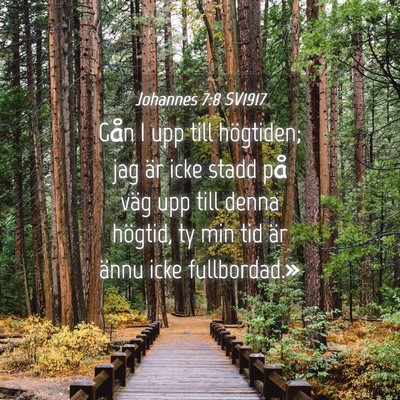 Picture 04 - Johannes 7:8 SV1917 - Gån I upp till högtiden; jag är icke stadd på - Bible Verse Picture